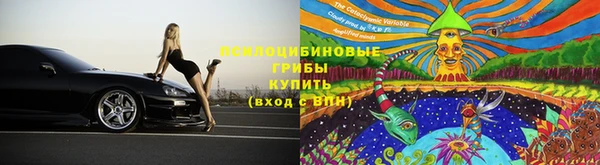 2c-b Липки