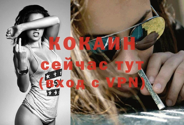 ГАЛЛЮЦИНОГЕННЫЕ ГРИБЫ Беломорск