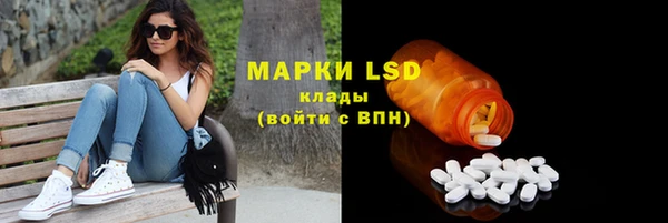 ГАЛЛЮЦИНОГЕННЫЕ ГРИБЫ Беломорск
