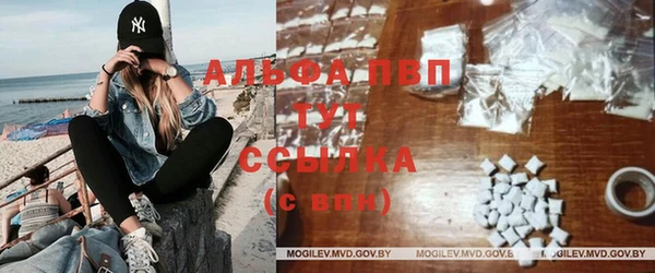 Альфа ПВП Белокуриха