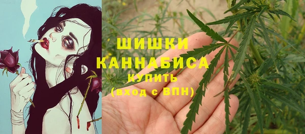 Альфа ПВП Белокуриха